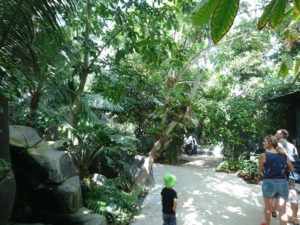 Intérieur de la serre tropicale au parc zoologique de Paris