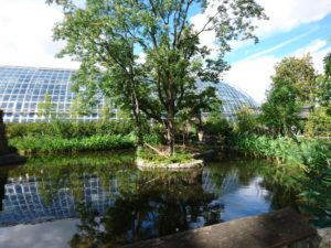 Serre tropicale du parc zoologique de Paris