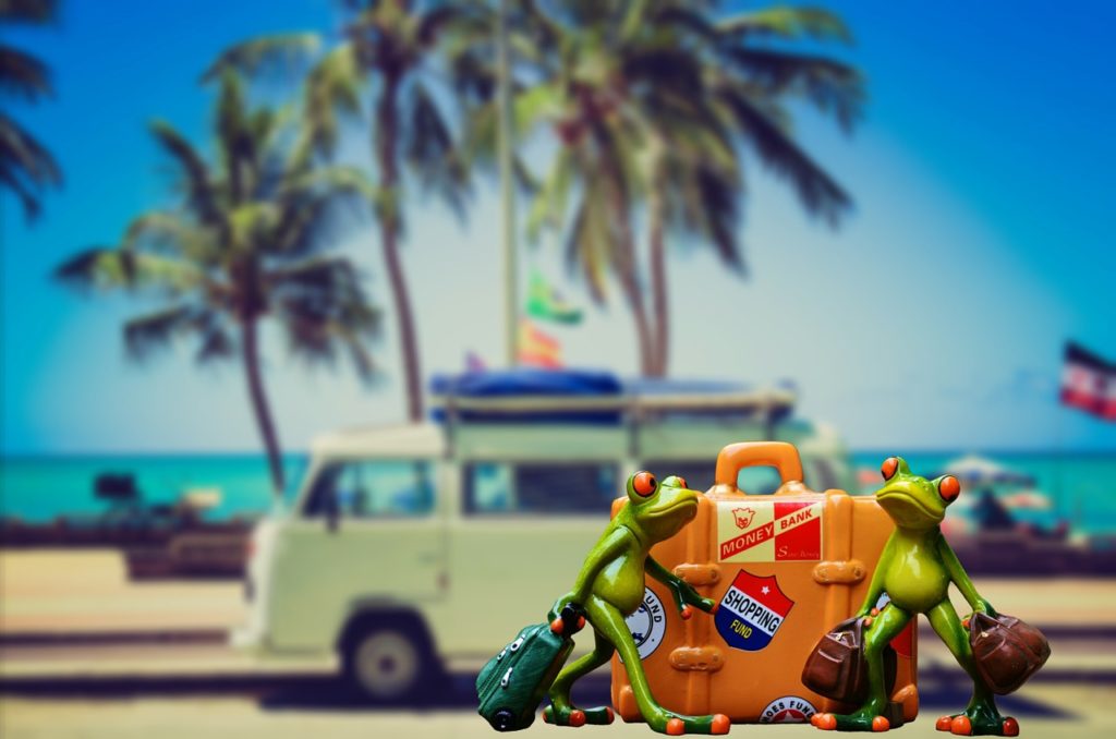 départ en vacances, mer, palmiers et plage