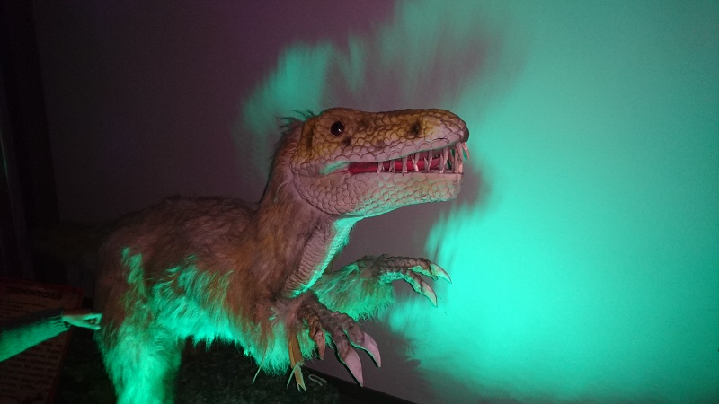 deinonychus univers des dinosaures